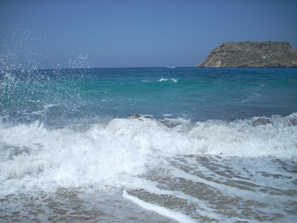 DSCN0420