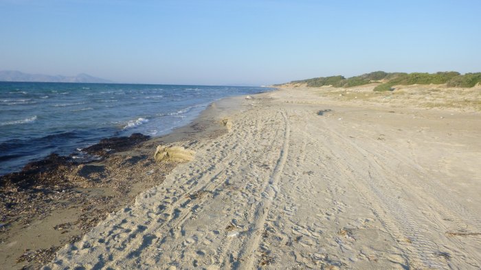 Kohilari4