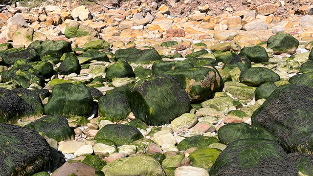 Fairlight glen beach