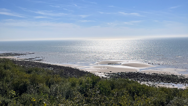 Fairlight glen beach