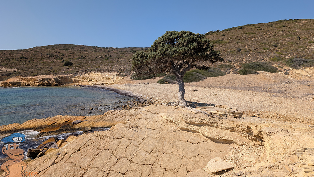 PXL_20250927_085429965