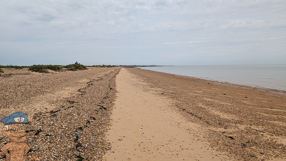 St Osyth beach foreline