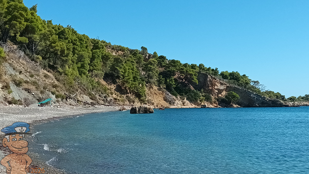 Vithisma 1