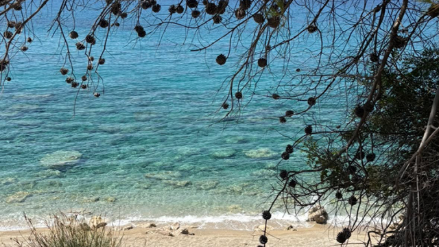 sissia-beach-kefalonia